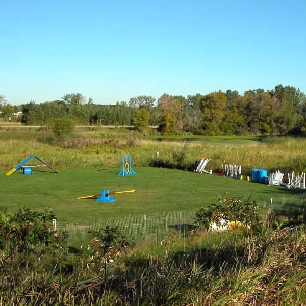 Agility Field & Wetlands