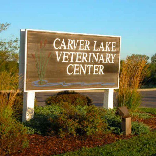 Carver Lake Veterinary Center Tour