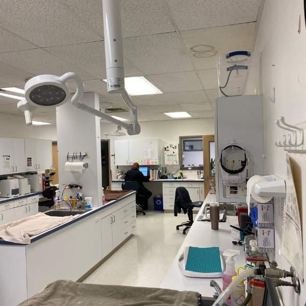 Pet Laboratory Testing Lab