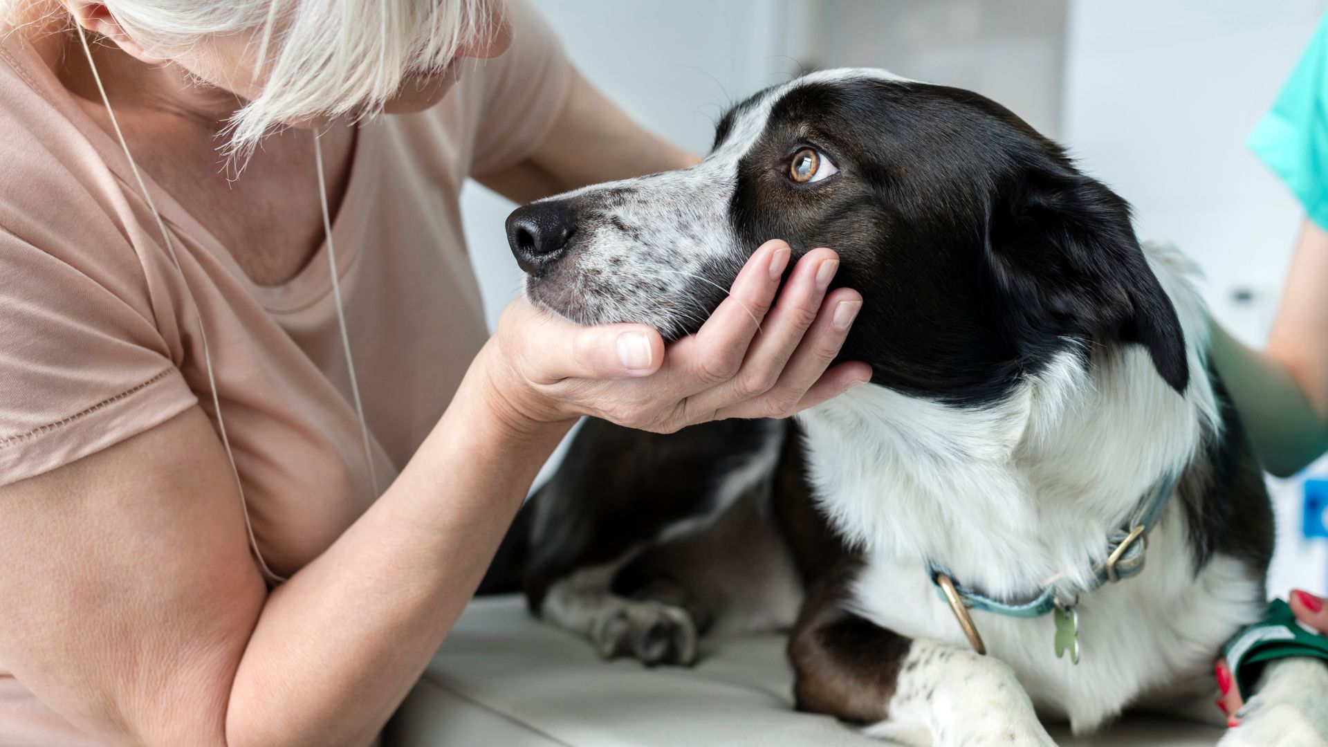 A woman gently pets her dog